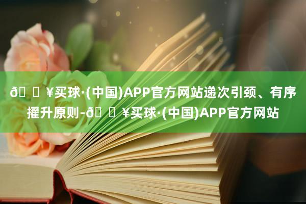 🔥买球·(中国)APP官方网站递次引颈、有序擢升原则-🔥买球·(中国)APP官方网站