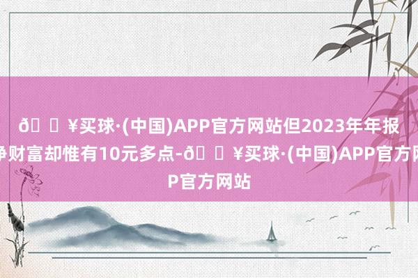 🔥买球·(中国)APP官方网站但2023年年报的净财富却惟有10元多点-🔥买球·(中国)APP官方网站