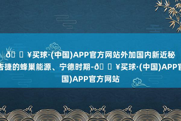 🔥买球·(中国)APP官方网站外加国内新近秘书研制告捷的蜂巢能源、宁德时期-🔥买球·(中国)APP官方网站