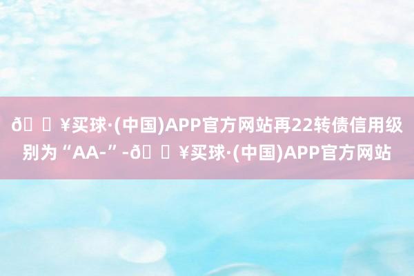 🔥买球·(中国)APP官方网站再22转债信用级别为“AA-”-🔥买球·(中国)APP官方网站