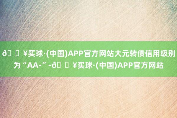 🔥买球·(中国)APP官方网站大元转债信用级别为“AA-”-🔥买球·(中国)APP官方网站