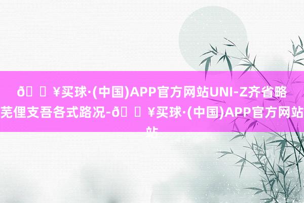 🔥买球·(中国)APP官方网站UNI-Z齐省略芜俚支吾各式路况-🔥买球·(中国)APP官方网站