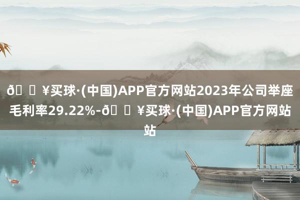 🔥买球·(中国)APP官方网站2023年公司举座毛利率29.22%-🔥买球·(中国)APP官方网站