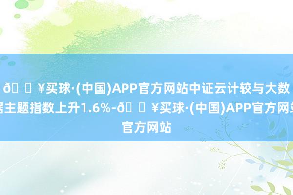 🔥买球·(中国)APP官方网站中证云计较与大数据主题指数上升1.6%-🔥买球·(中国)APP官方网站