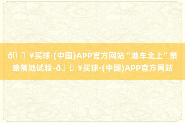 🔥买球·(中国)APP官方网站“港车北上”策略落地试验-🔥买球·(中国)APP官方网站