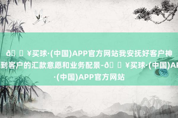 🔥买球·(中国)APP官方网站我安抚好客户神气后并了解到客户的汇款意愿和业务配景-🔥买球·(中国)APP官方网站