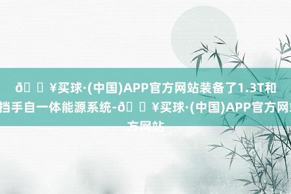 🔥买球·(中国)APP官方网站装备了1.3T和6挡手自一体能源系统-🔥买球·(中国)APP官方网站