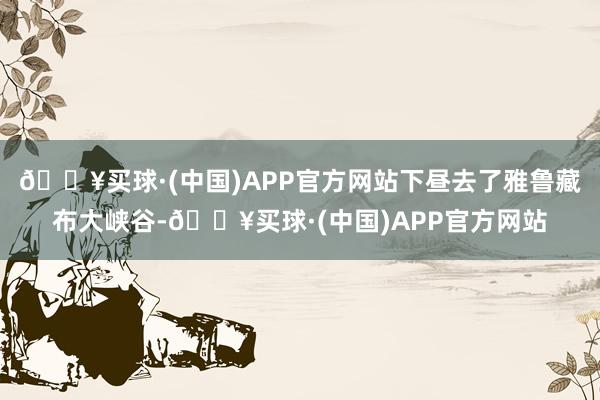 🔥买球·(中国)APP官方网站下昼去了雅鲁藏布大峡谷-🔥买球·(中国)APP官方网站