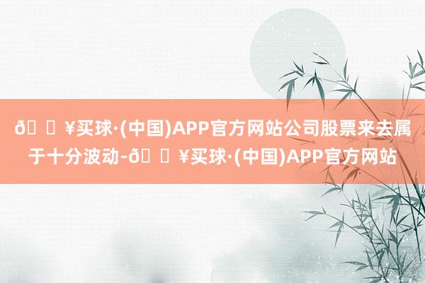 🔥买球·(中国)APP官方网站公司股票来去属于十分波动-🔥买球·(中国)APP官方网站