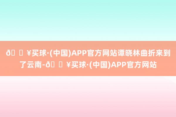 🔥买球·(中国)APP官方网站谭晓林曲折来到了云南-🔥买球·(中国)APP官方网站