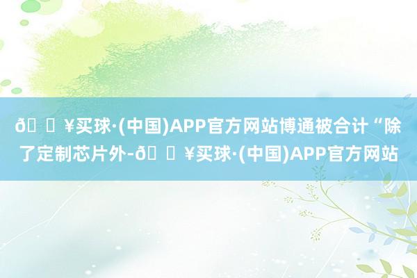 🔥买球·(中国)APP官方网站博通被合计“除了定制芯片外-🔥买球·(中国)APP官方网站