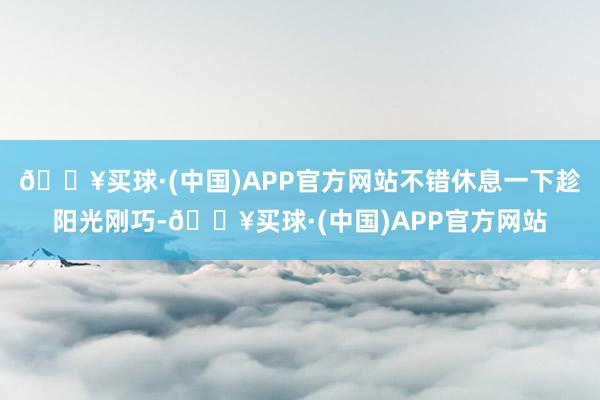 🔥买球·(中国)APP官方网站不错休息一下趁阳光刚巧-🔥买球·(中国)APP官方网站