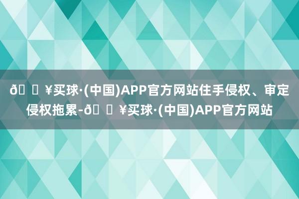 🔥买球·(中国)APP官方网站住手侵权、审定侵权拖累-🔥买球·(中国)APP官方网站