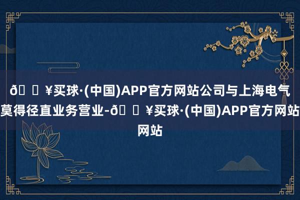 🔥买球·(中国)APP官方网站公司与上海电气莫得径直业务营业-🔥买球·(中国)APP官方网站