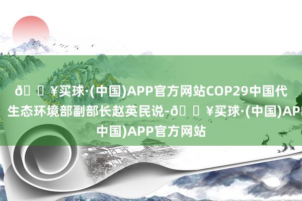 🔥买球·(中国)APP官方网站COP29中国代表团团长、生态环境部副部长赵英民说-🔥买球·(中国)APP官方网站