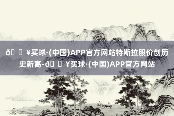 🔥买球·(中国)APP官方网站特斯拉股价创历史新高-🔥买球·(中国)APP官方网站