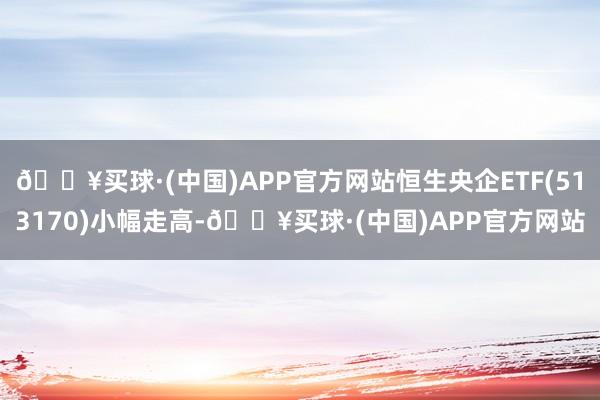 🔥买球·(中国)APP官方网站恒生央企ETF(513170)小幅走高-🔥买球·(中国)APP官方网站