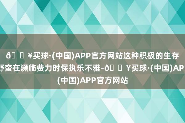 🔥买球·(中国)APP官方网站这种积极的生存派头使她野蛮在濒临费力时保执乐不雅-🔥买球·(中国)APP官方网站