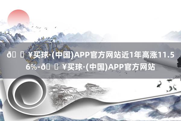 🔥买球·(中国)APP官方网站近1年高涨11.56%-🔥买球·(中国)APP官方网站