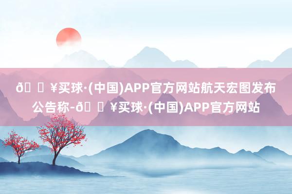 🔥买球·(中国)APP官方网站　　航天宏图发布公告称-🔥买球·(中国)APP官方网站