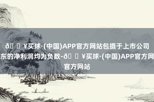 🔥买球·(中国)APP官方网站包摄于上市公司股东的净利润均为负数-🔥买球·(中国)APP官方网站