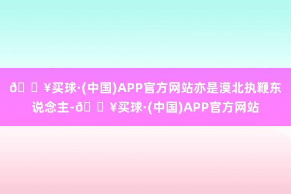 🔥买球·(中国)APP官方网站亦是漠北执鞭东说念主-🔥买球·(中国)APP官方网站