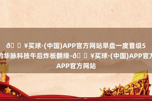 🔥买球·(中国)APP官方网站早盘一度晋级5连板的华脉科技午后炸板翻绿-🔥买球·(中国)APP官方网站